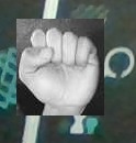 Hand landmark example 0